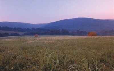 free union homes for sale