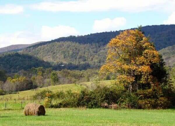 25 Reasons To Love Living in Greenwood VA - Toby Beavers Realtor Guide