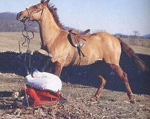 26 reasons to love living in keswick va