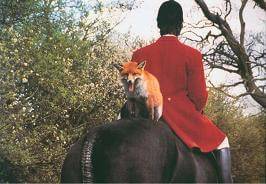 26 reason to love living in keswick va